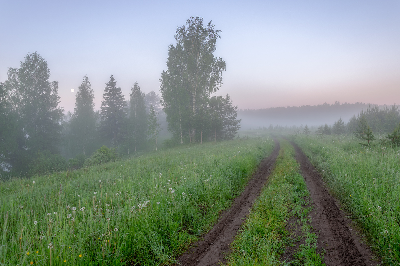 Утро июньское картинки