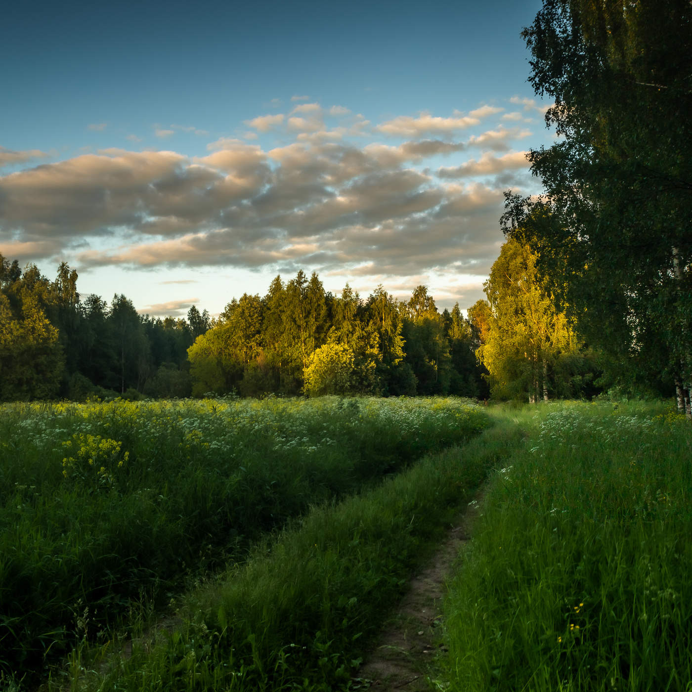 Пейзажи Кировской обл лето