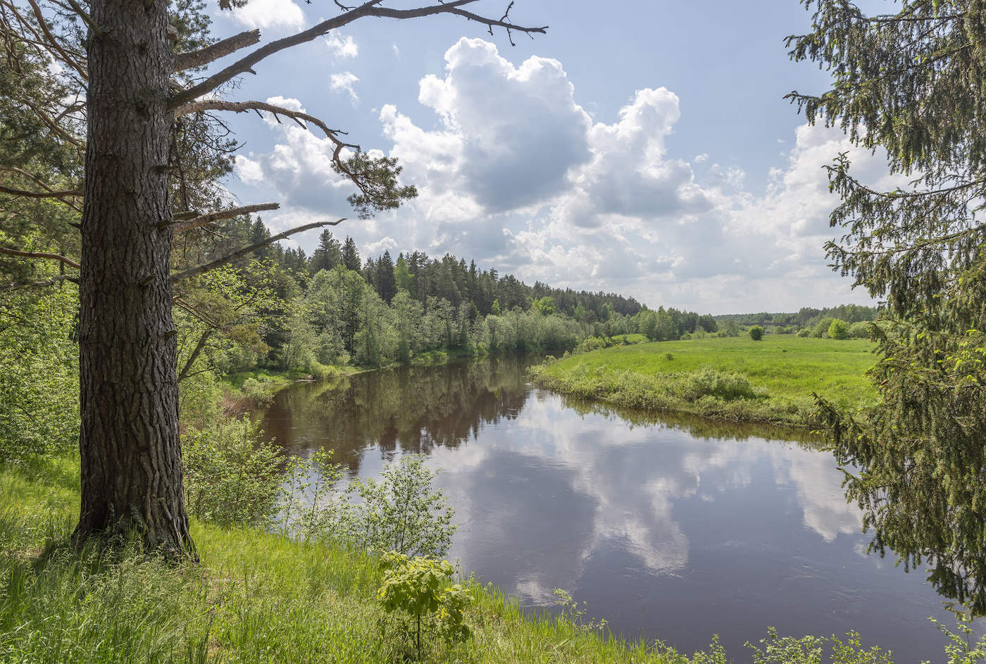 Нерль клязьминская фото