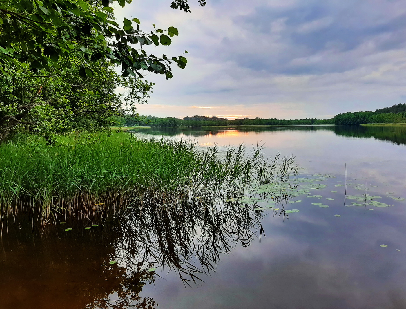 Тихая заводь фото