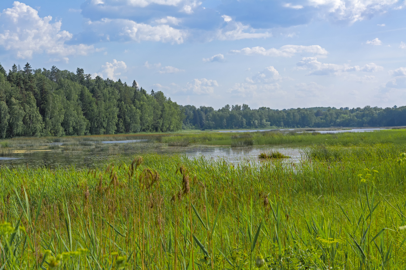 Яхромское водохранилище фото