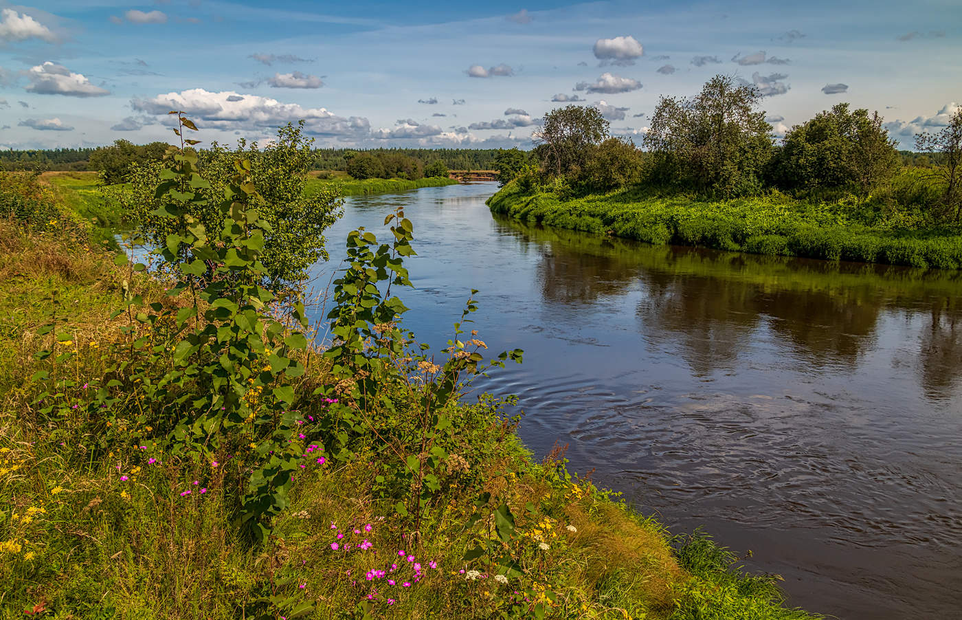 Исток реки Клязьма