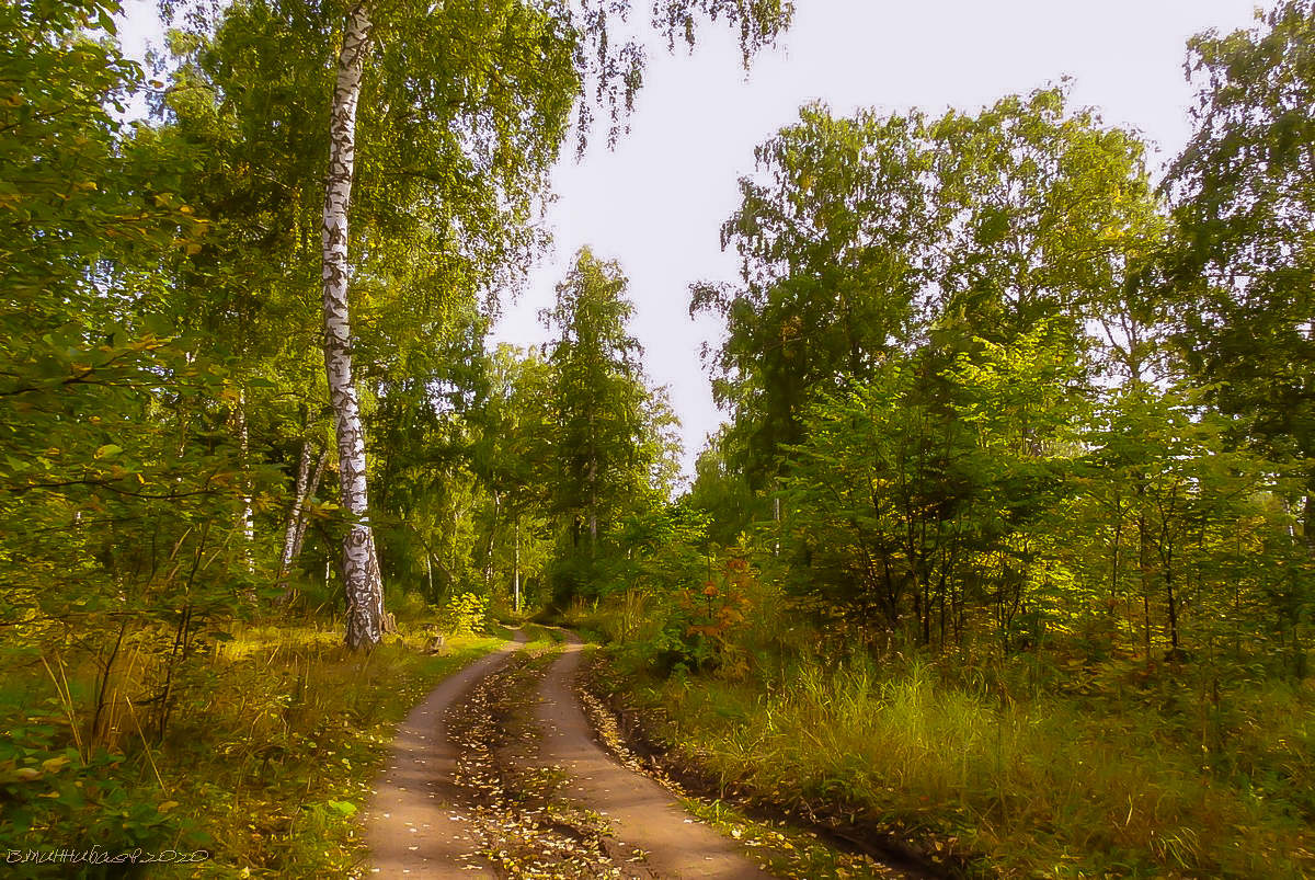 Фото кончается лето