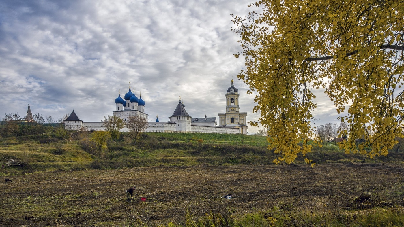 Высоцкий монастырь Подсолнухи