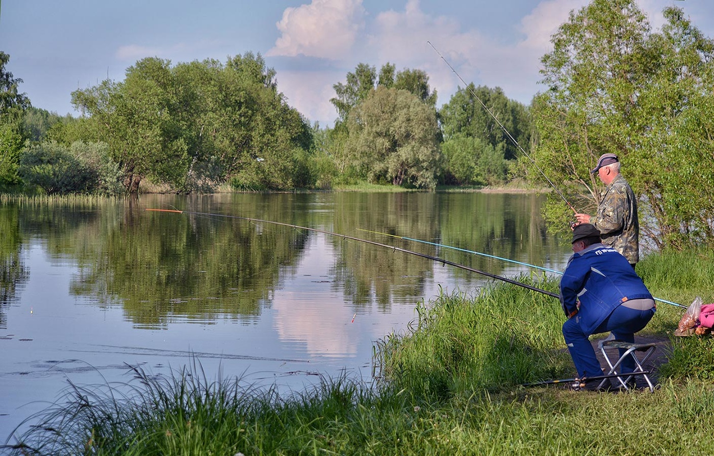 Рыбацкое счастье в новгородской. Клюет Подсекай. Подсекать фото. Рыбацкое счастье 68. Кажется клюет.