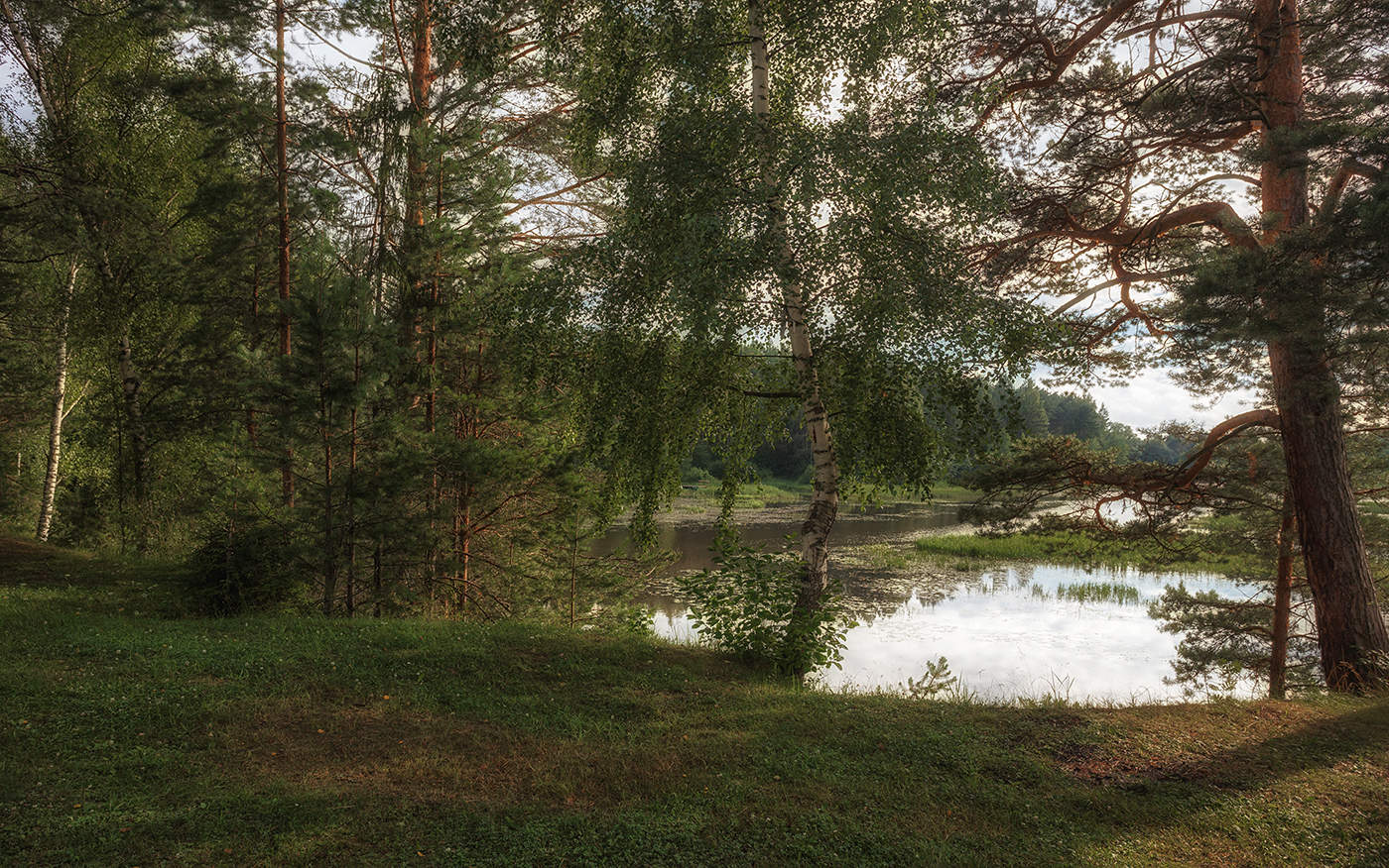 Лето речка Кострома