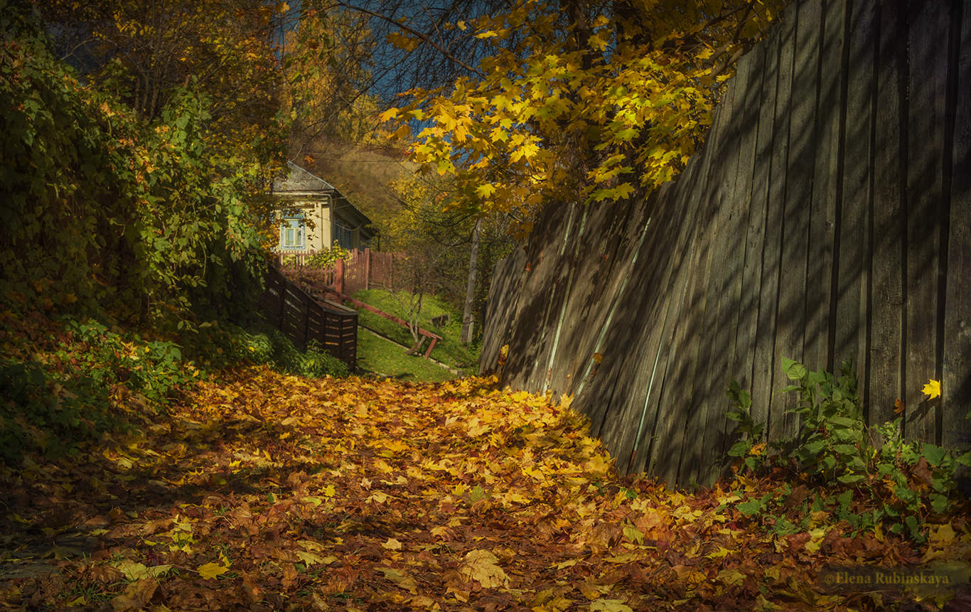 Золотой листопад в деревне