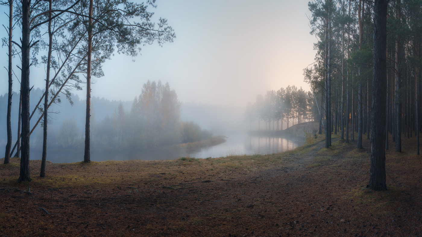 Утро туманное река лес осень