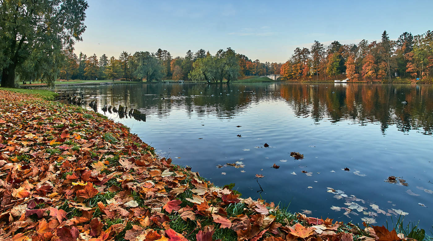 осень в гатчинском парке фото