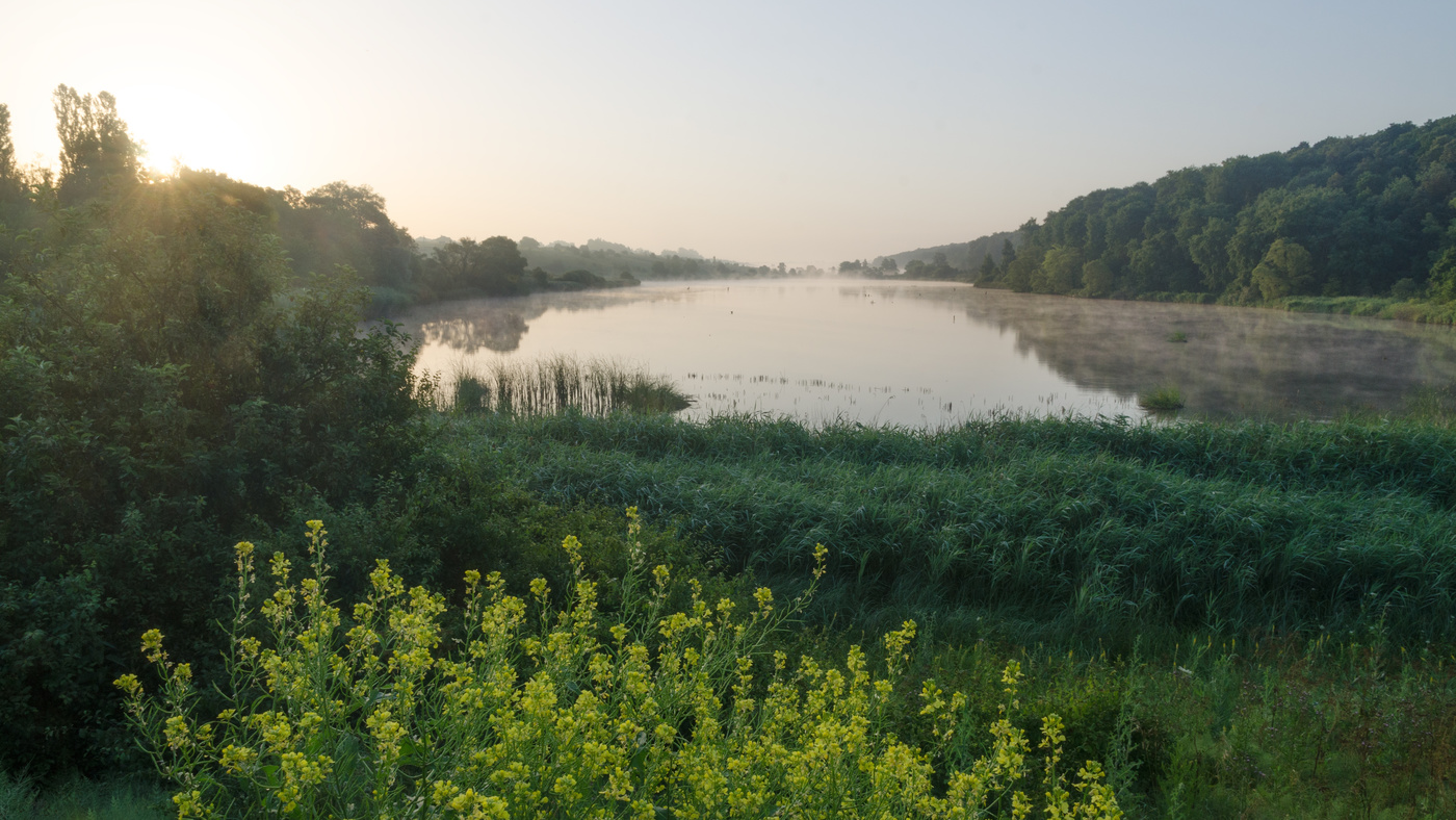 Река Гостянка Белгород