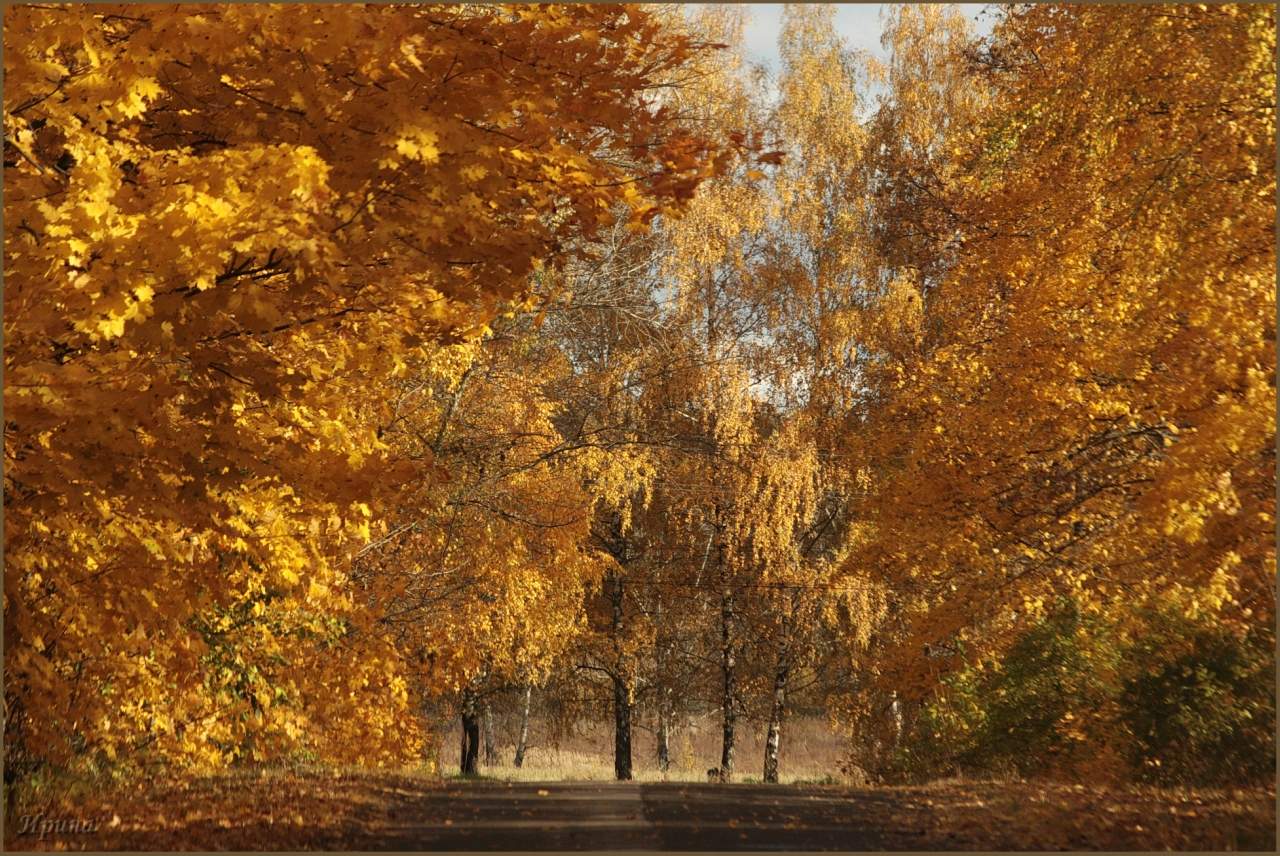 Осенняя Рязань Фото