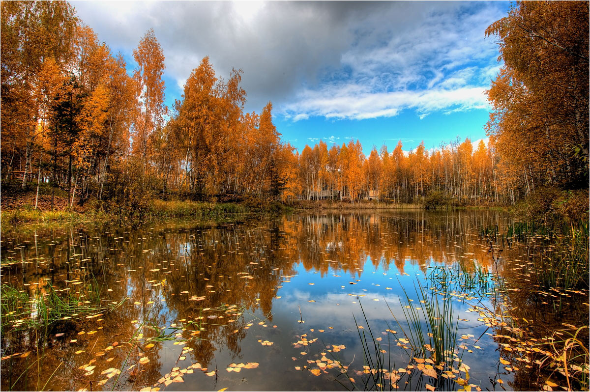 Красив и печален осенний. Золотая осень озеро природа река лес. Осеннее озеро. Озеро осенью. Осень озеро.