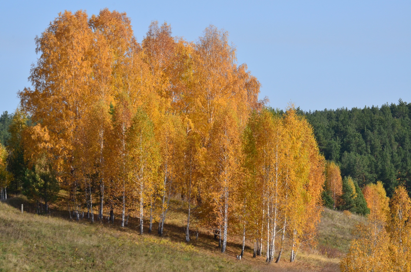 Осень на Урале