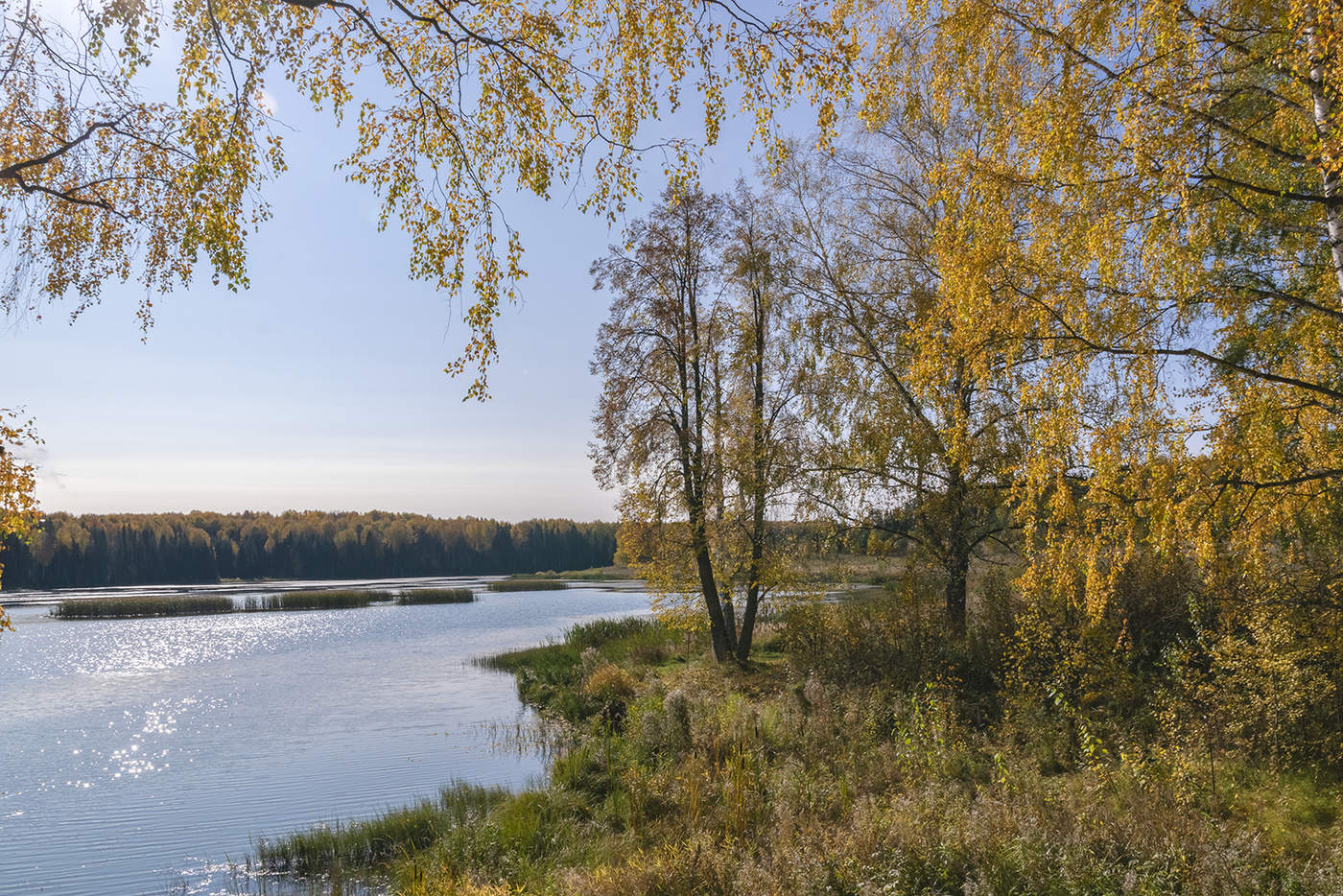 Осень очей очарованье