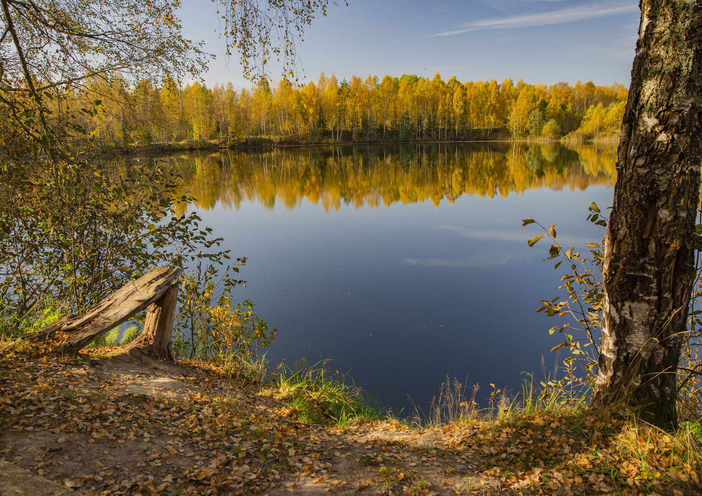 Дуниловское болото Ярославская область
