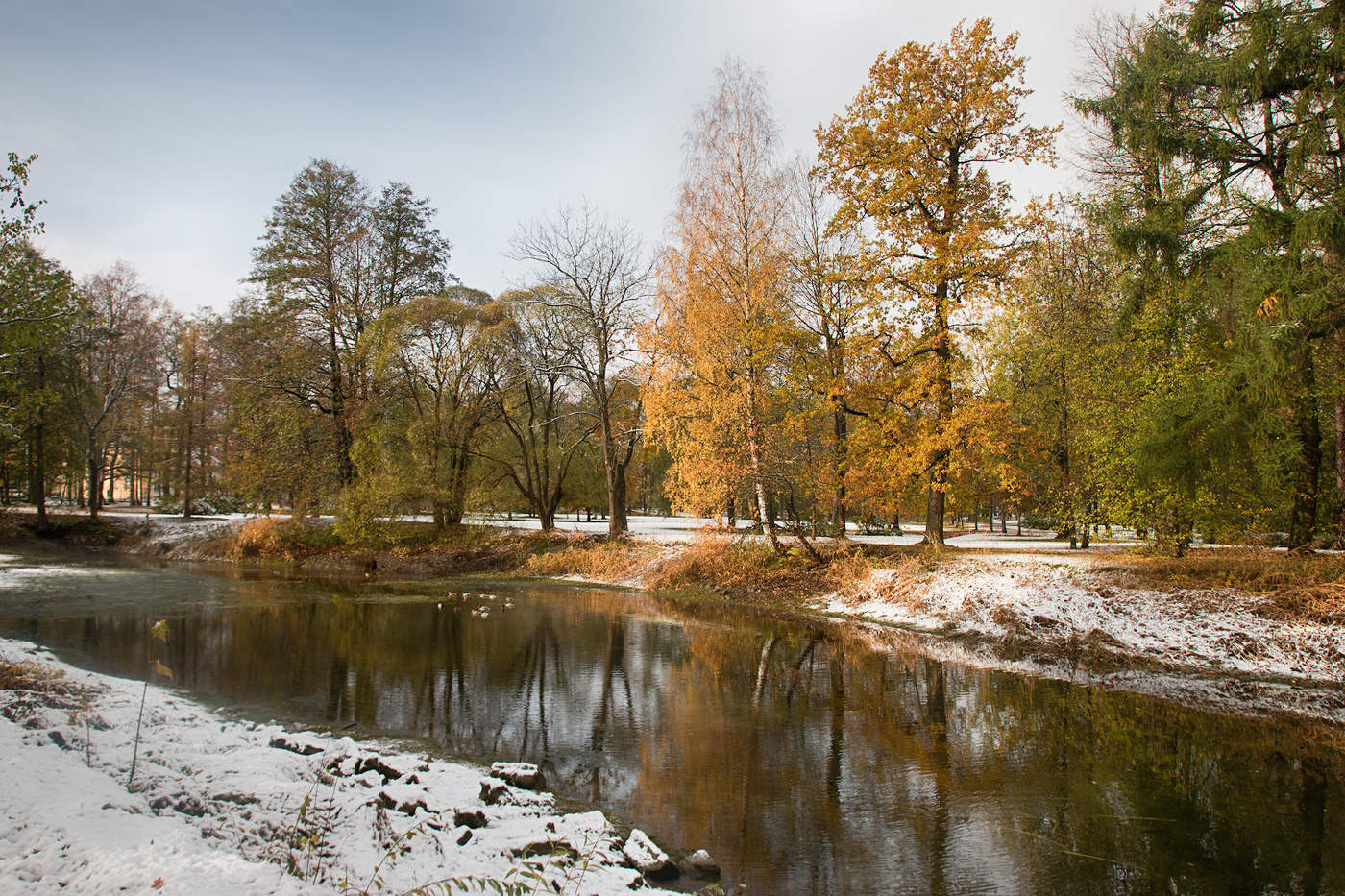 Петергофский парк поздняя осен