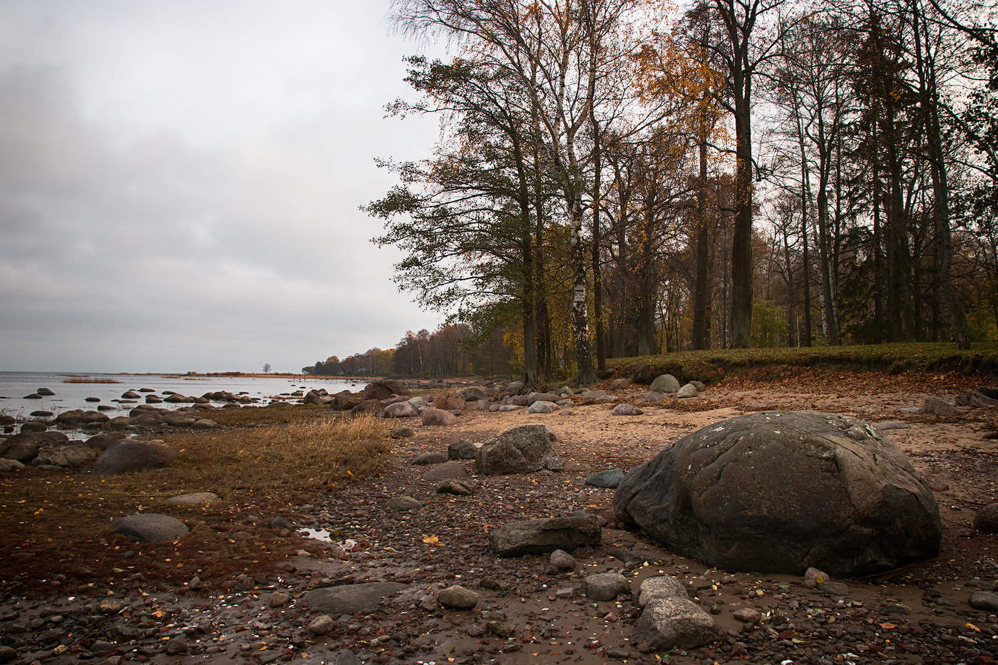Осень финский залив Зеленогорск берег