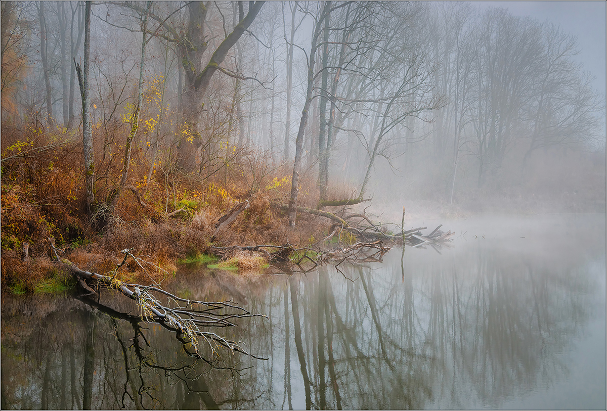 Осенний пруд в тумане