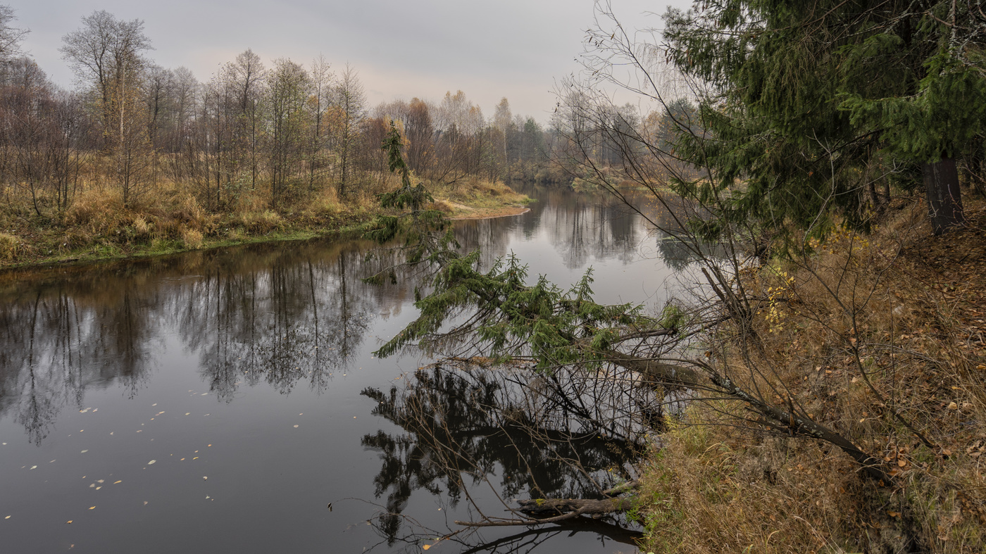 Линда нижегородская область фото