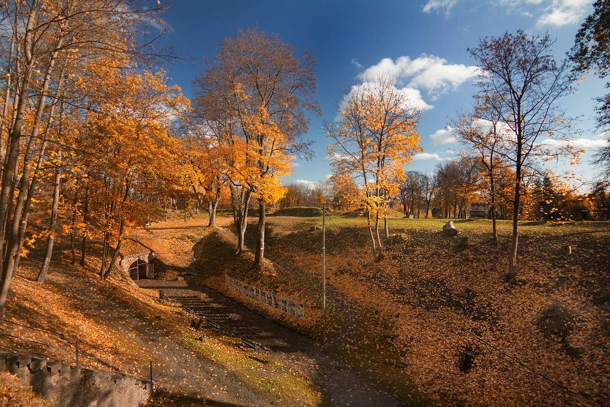 Фото 2 ноября. Ясная осень. Эстония осенью ноябрь. Латвия осень ноябрь. 20 Ноября осень.