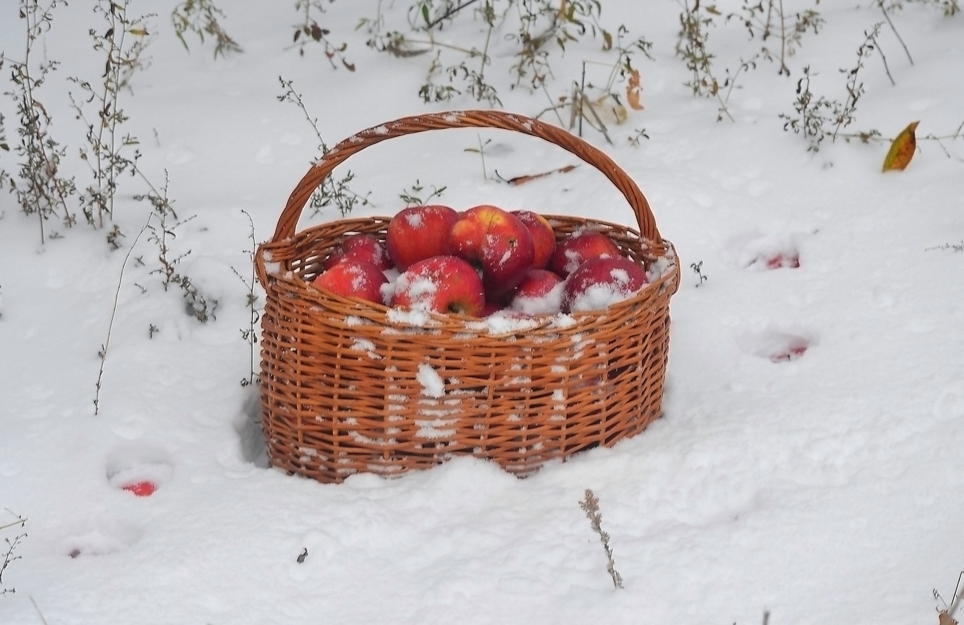 Корзина с яблоками на снегу