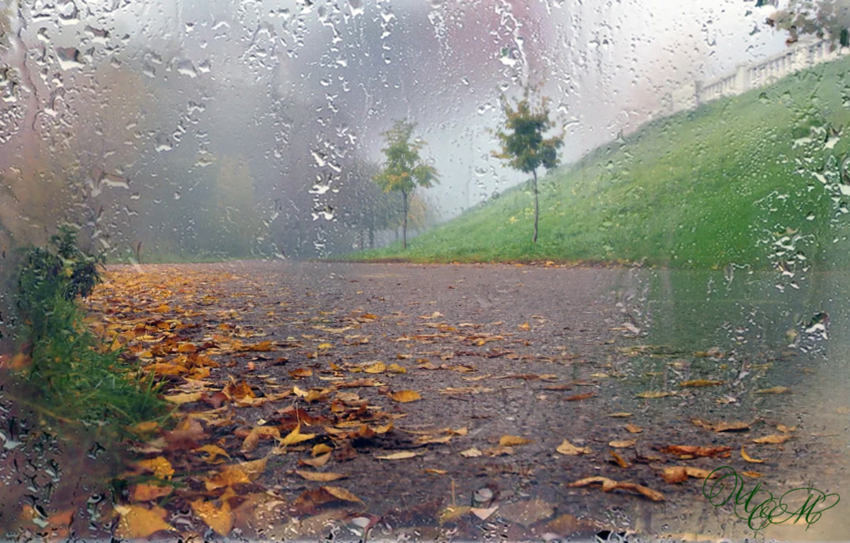 Осень мелкий дождь