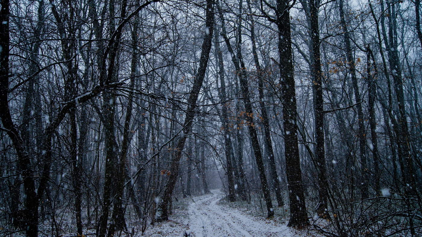 Вечерний снег Солженицын
