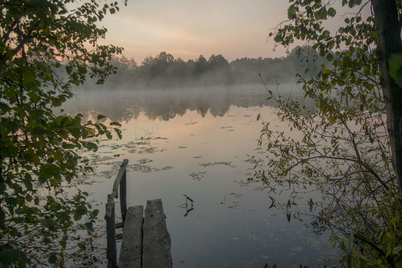 Раннее утро у озера Михайловское