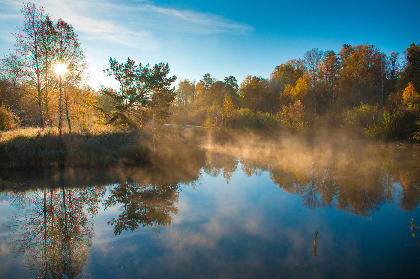 с добрым осенним утром среды. красивая осень. золотая осень утро. хмурая осень. картинки с добрым утром осенние.