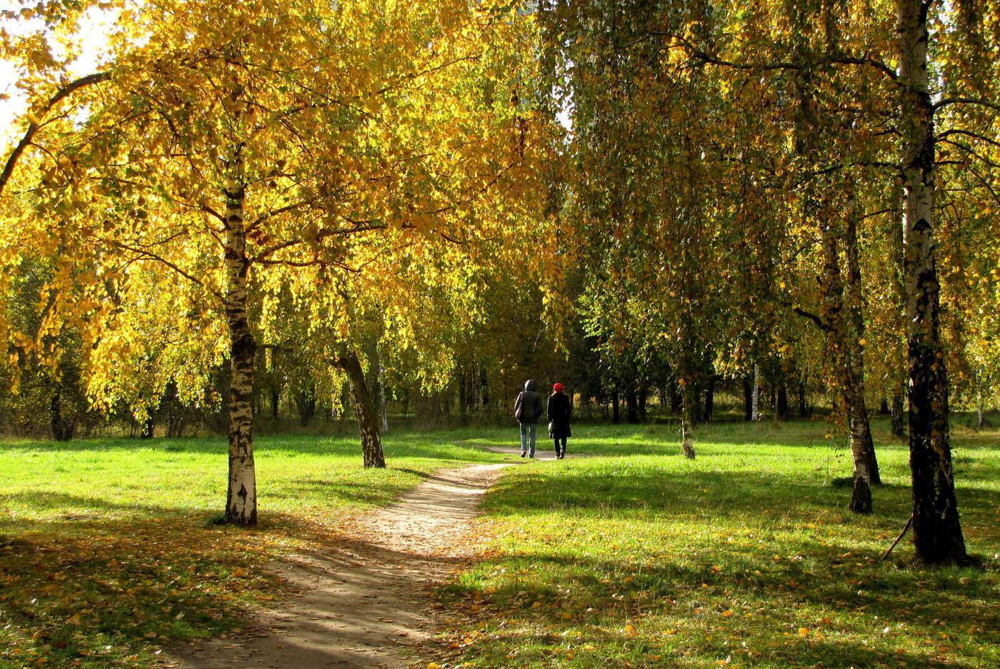 Осень в Строгино парк