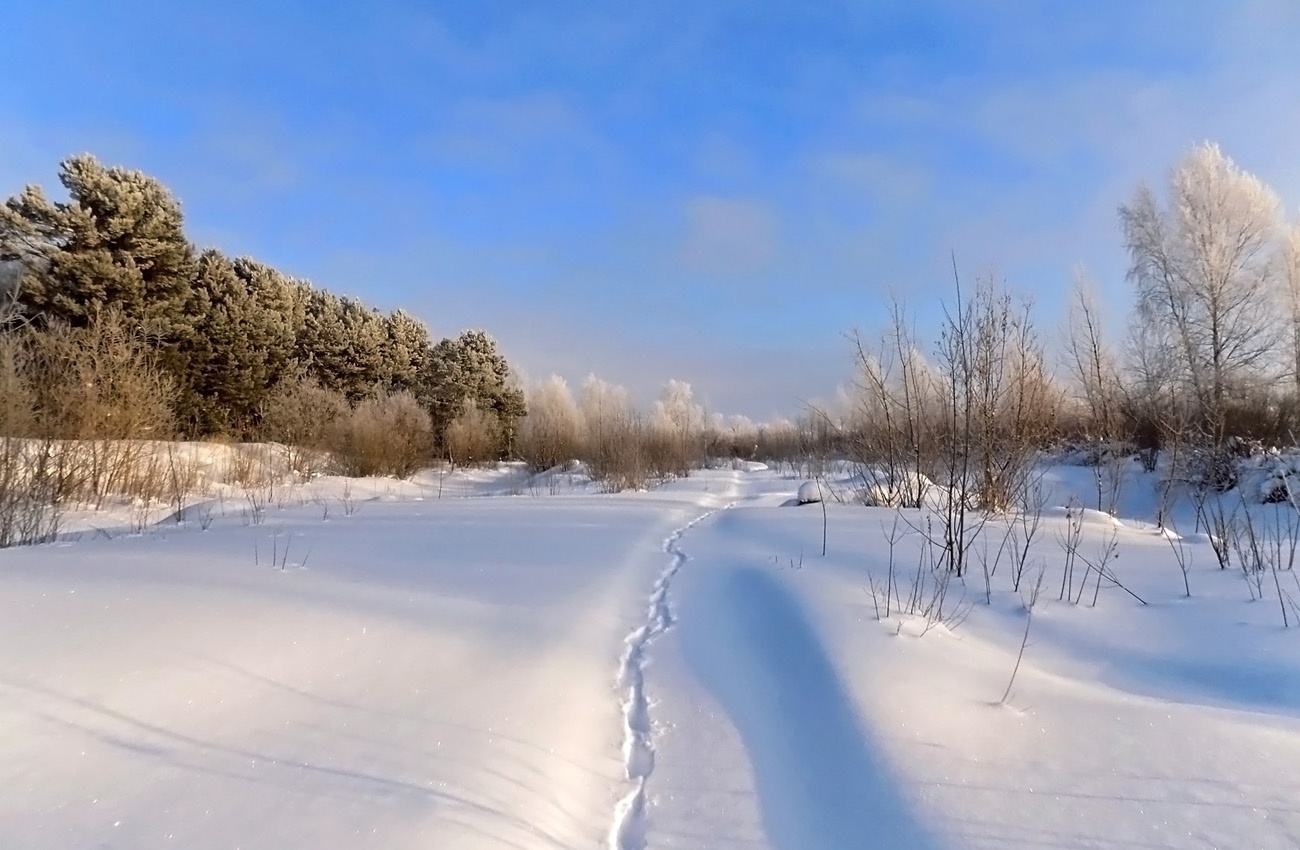 Зимние пейзажи Томска