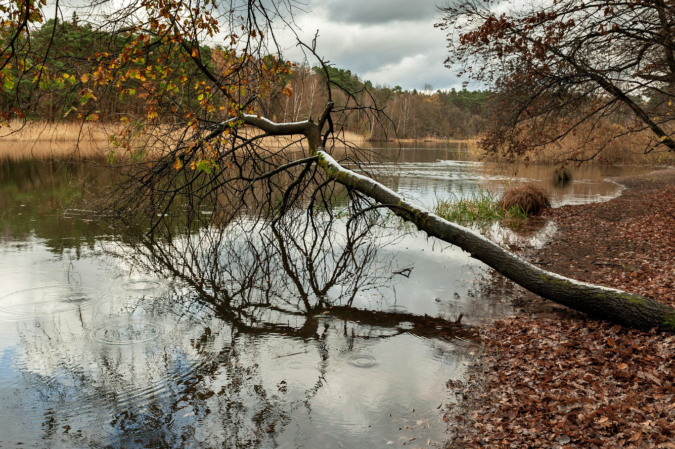 Озеро поздней осенью