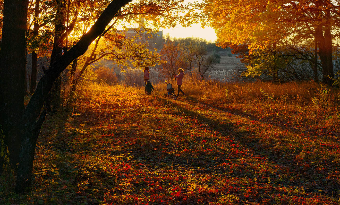 Осенний экспресс фото