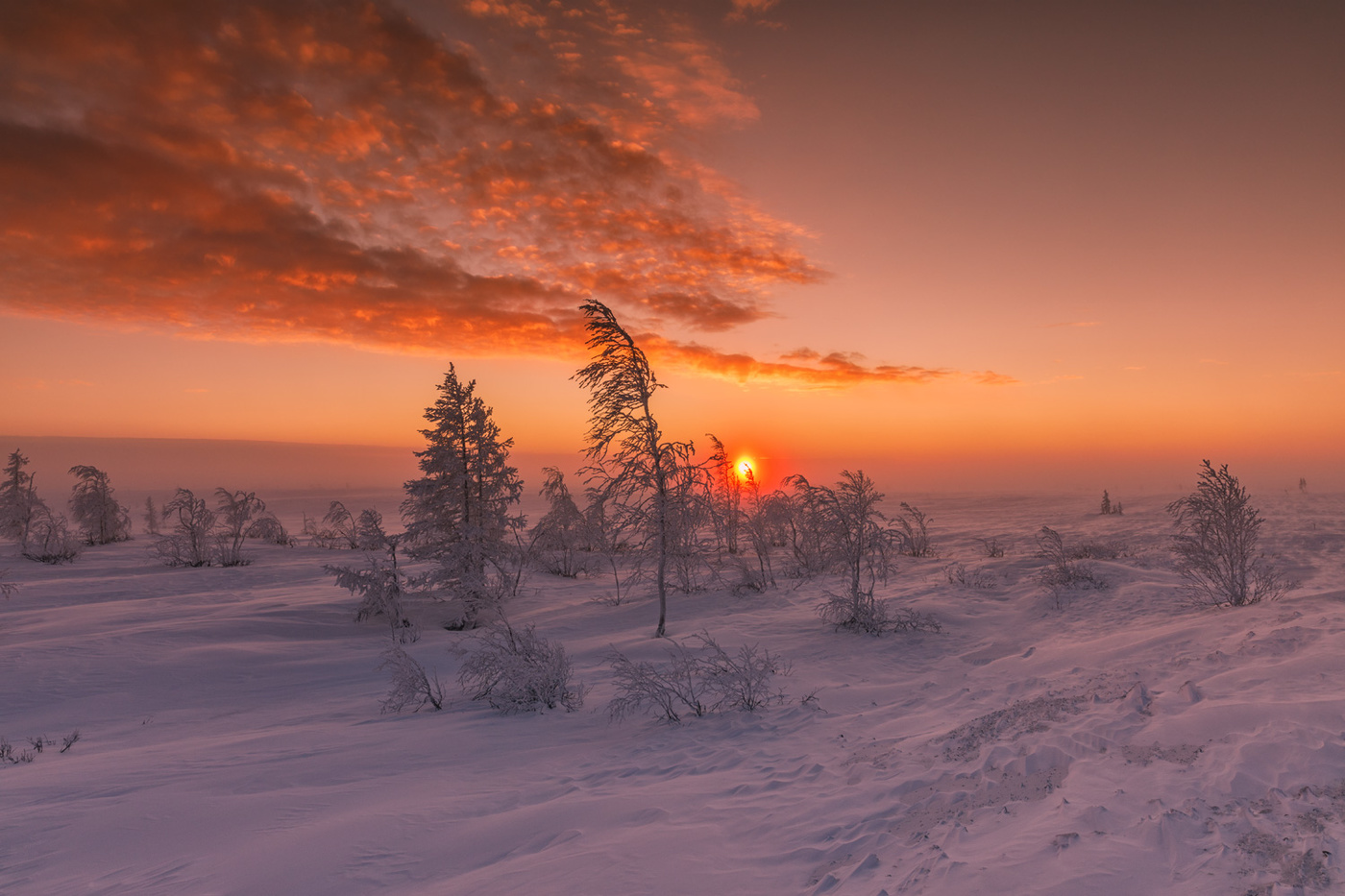 Зимняя природа Ямала