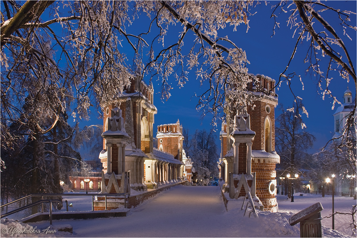 Царицыно в Москве зимой