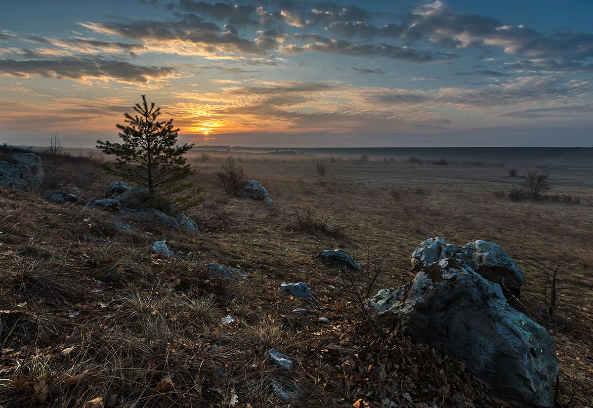 Каменный александр фото