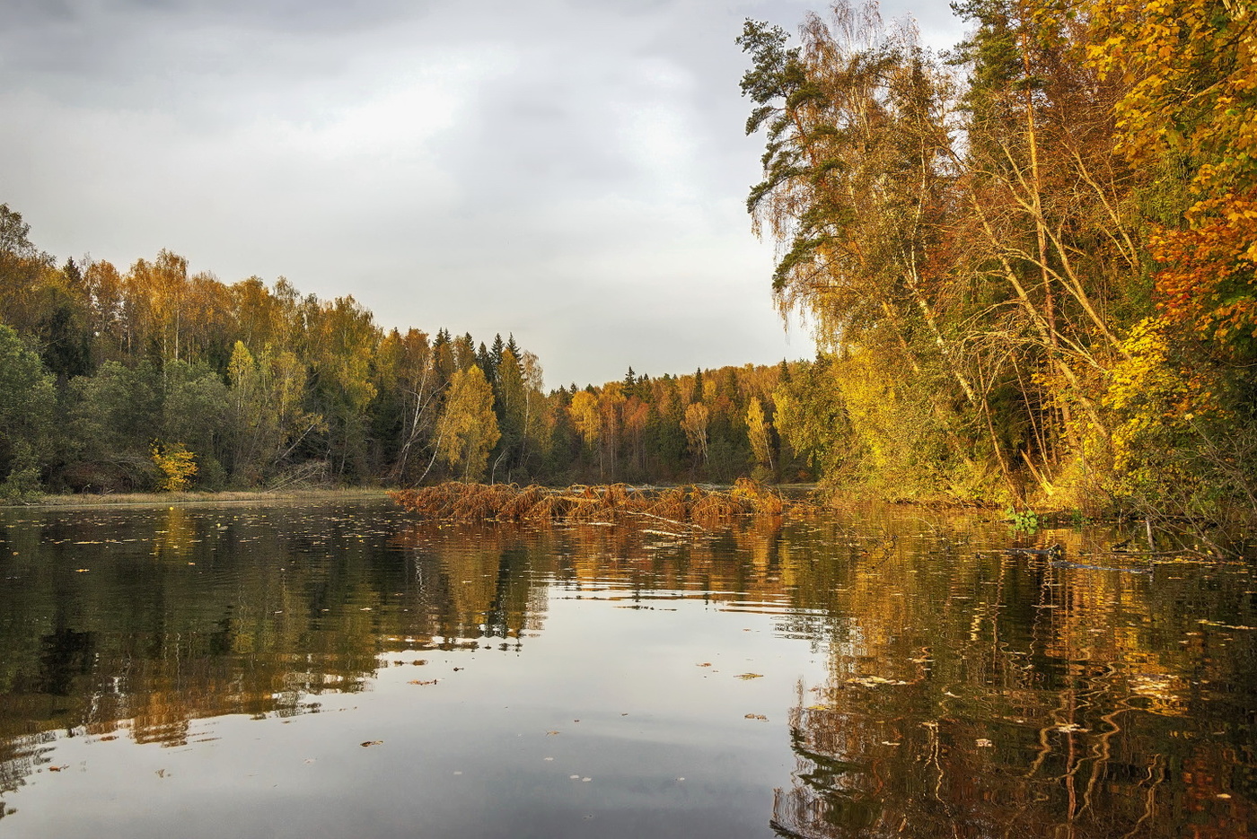 Осень Пушкино Учинское водохранилище