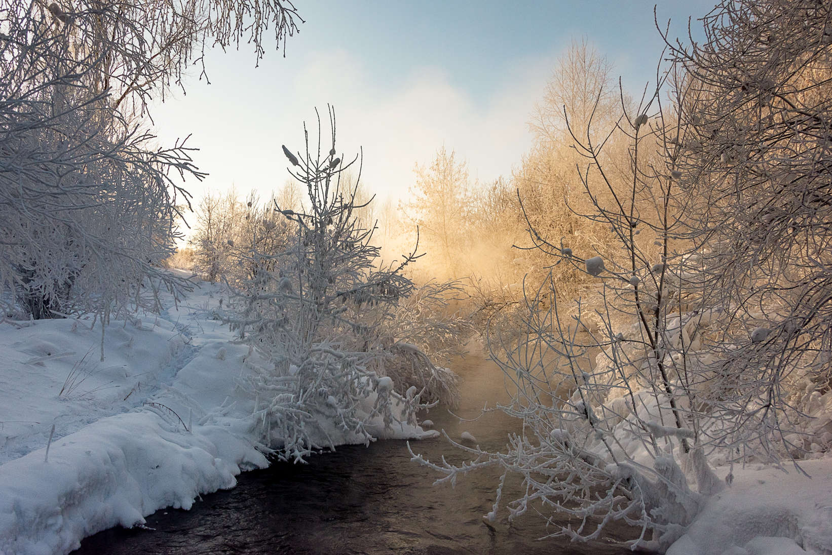 В пелене января. Часто зимней ночью когда деревья занесенные сплошной пеленой. За пеленой молочного тумана картинки. Фото как будто за пеленой.
