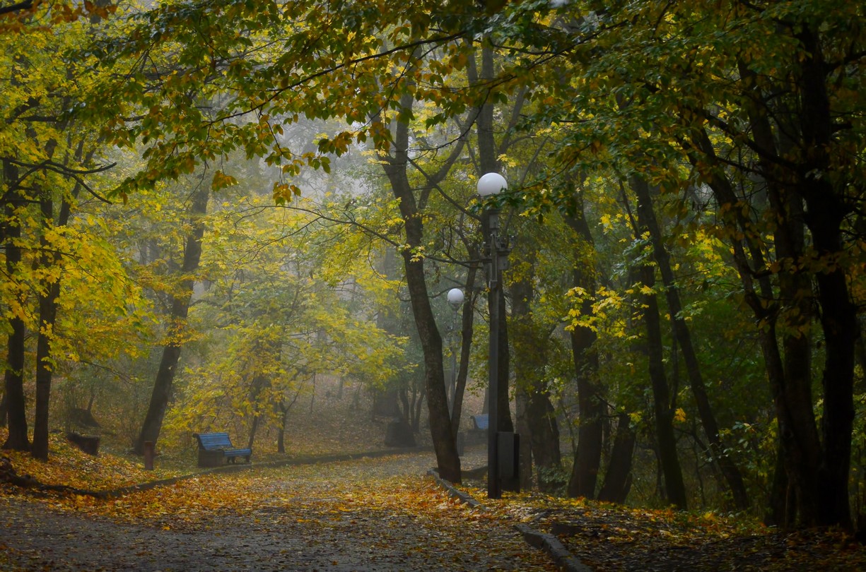 Фото железноводск осенью