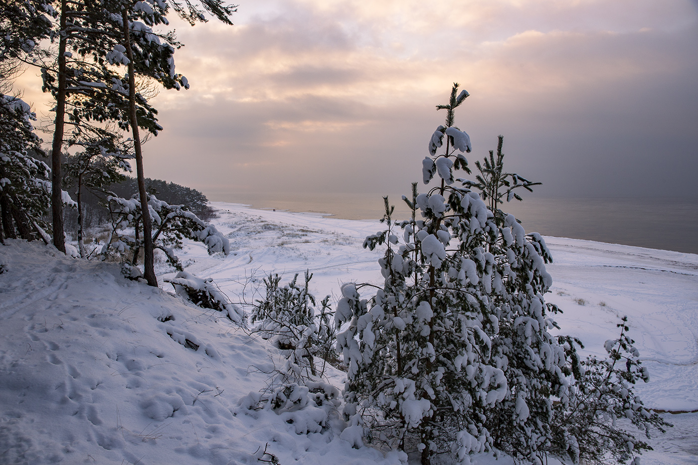 Балтийское море лед. Балтика зимой пустынна и угрюма. Море весной. Куршская коса калининград зимой. Балтийское побережье,балтика,.
