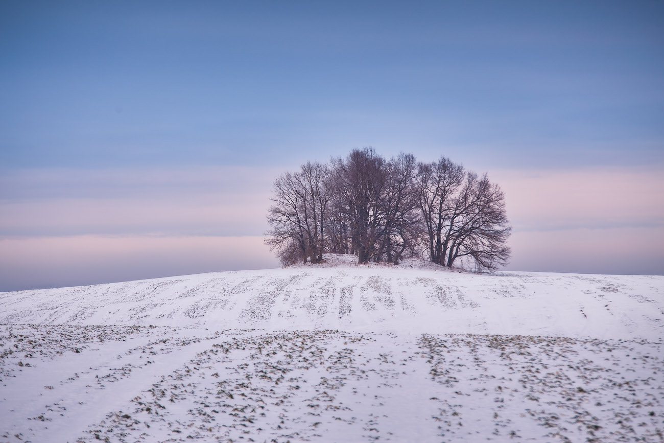 Поле зимой. Зима вечер поле. Зима Беларусь поле. Зимнее поле фото. Фарго зимнее поле лес.