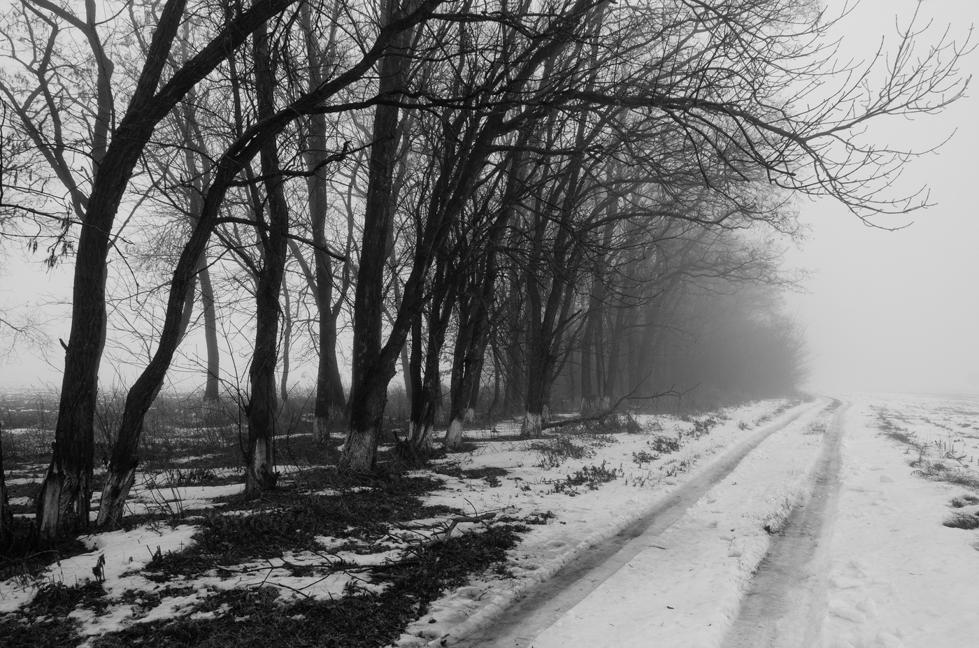 Хмурое утро. Хмурое зимнее утро. Январское хмурое утро. Хмурое Снежное утро.