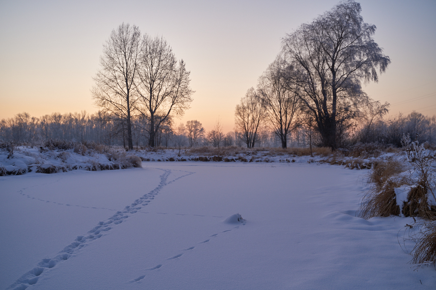 Фото зимний лес рассвет лужи
