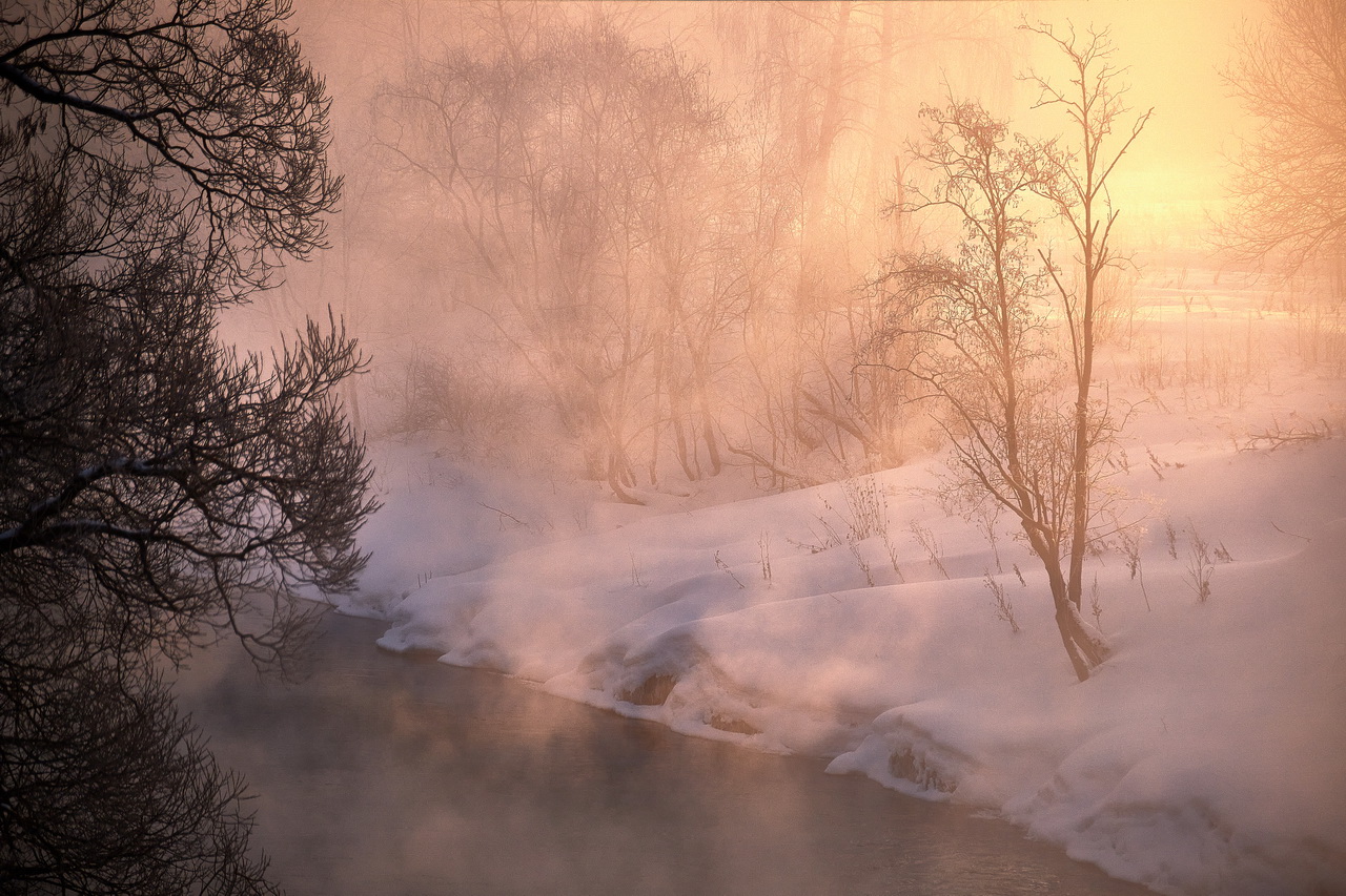 Мягкий рассвет с туманом зима