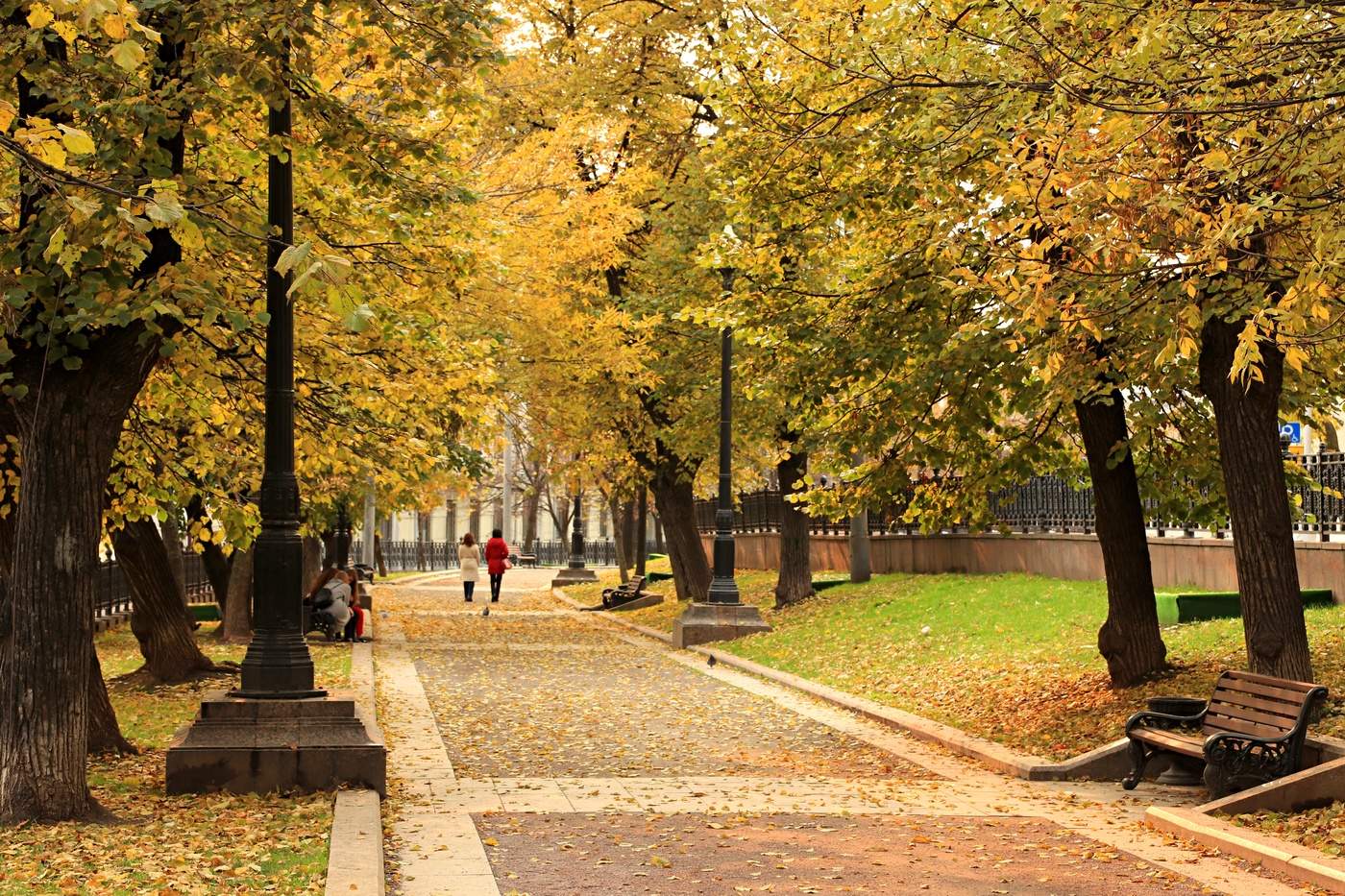 осенний бульвар в москве