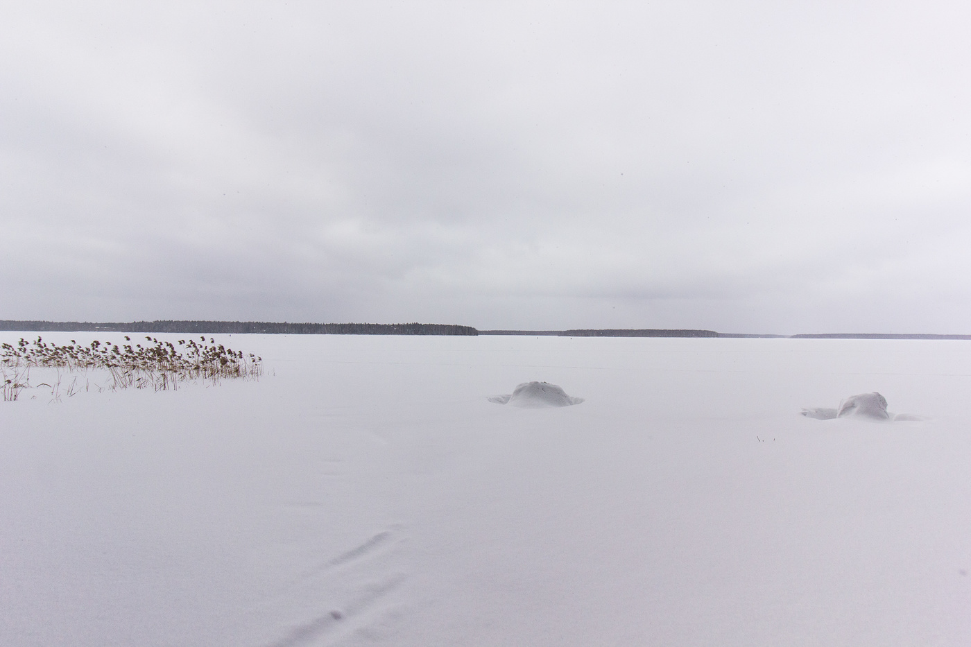 Водохранилище зимой. Учинское водохранилище Пушкино. Учинское водохранилище зимой. Пушкинское водохранилище отдых. Зимняя рыбалка на Учинском водохранилище в Пушкино Тишково.