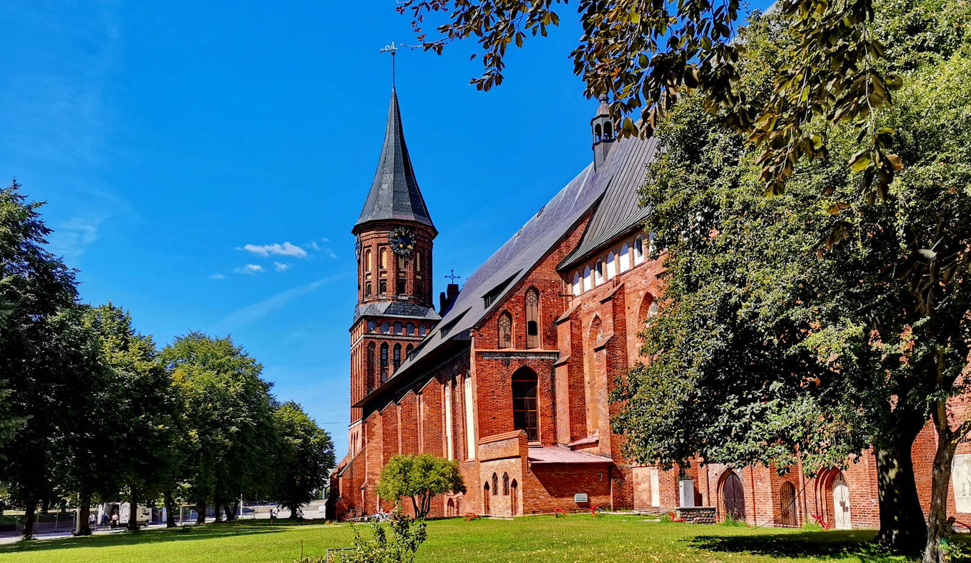 Калининград кафедральный собор ёлка