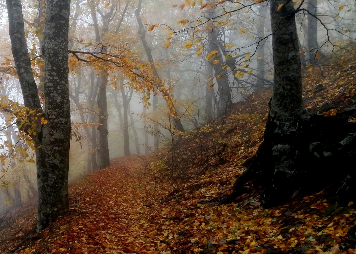 Фото железноводск осенью