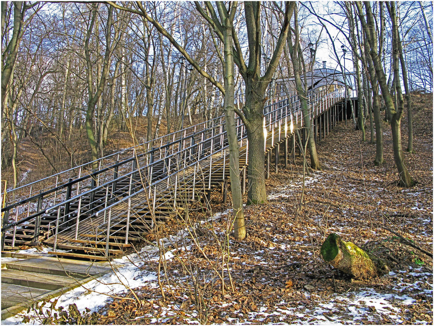 Картинки в парке весной