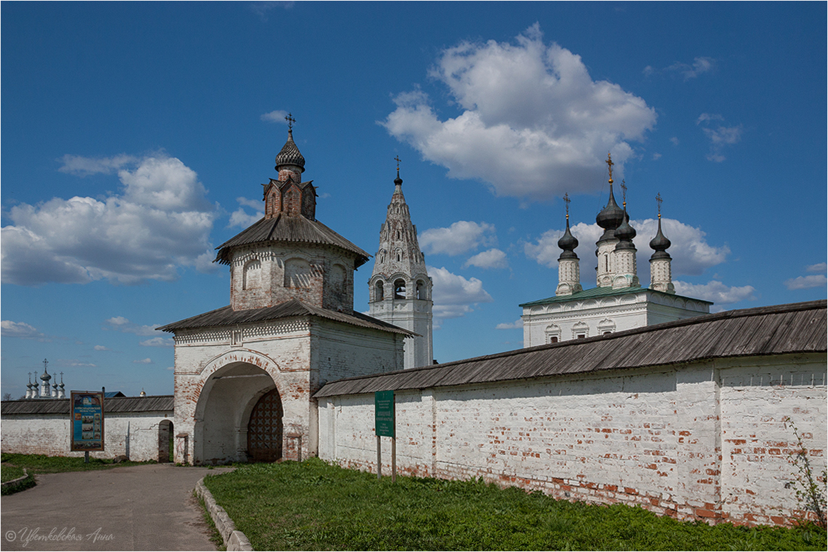 Александровский монастырь в суздале фото